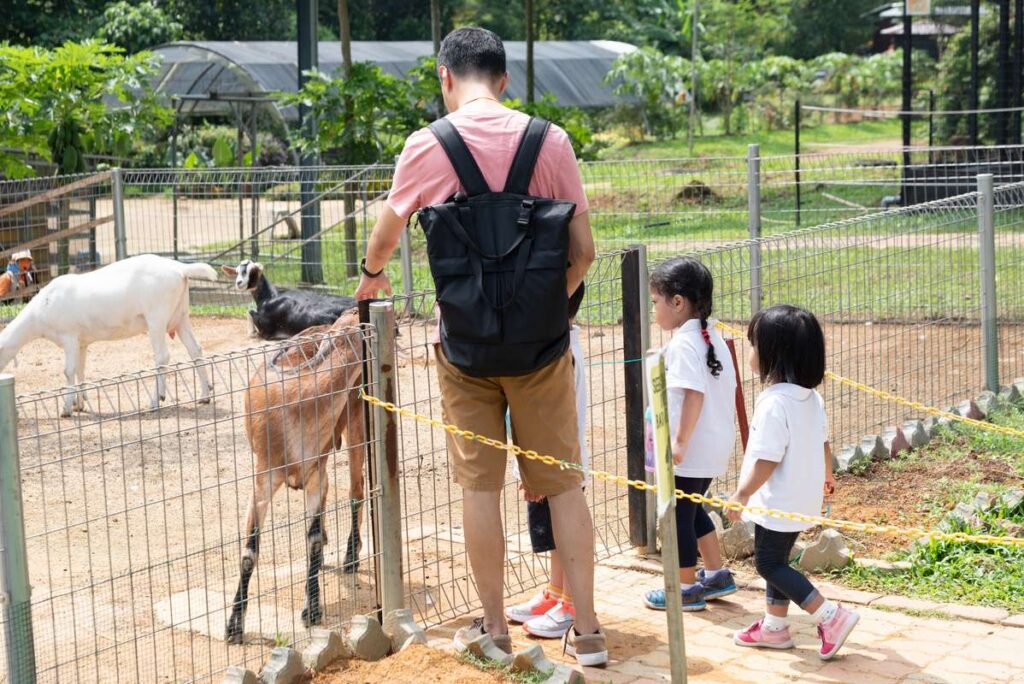 2023-Field-Trip-To-Farm-Fresh-8790