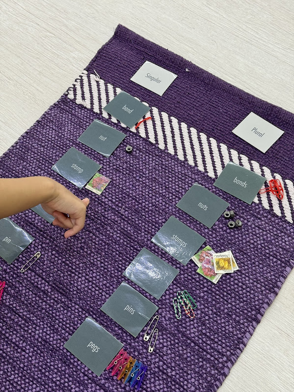 Montessori Kids Academy Singular & Plural