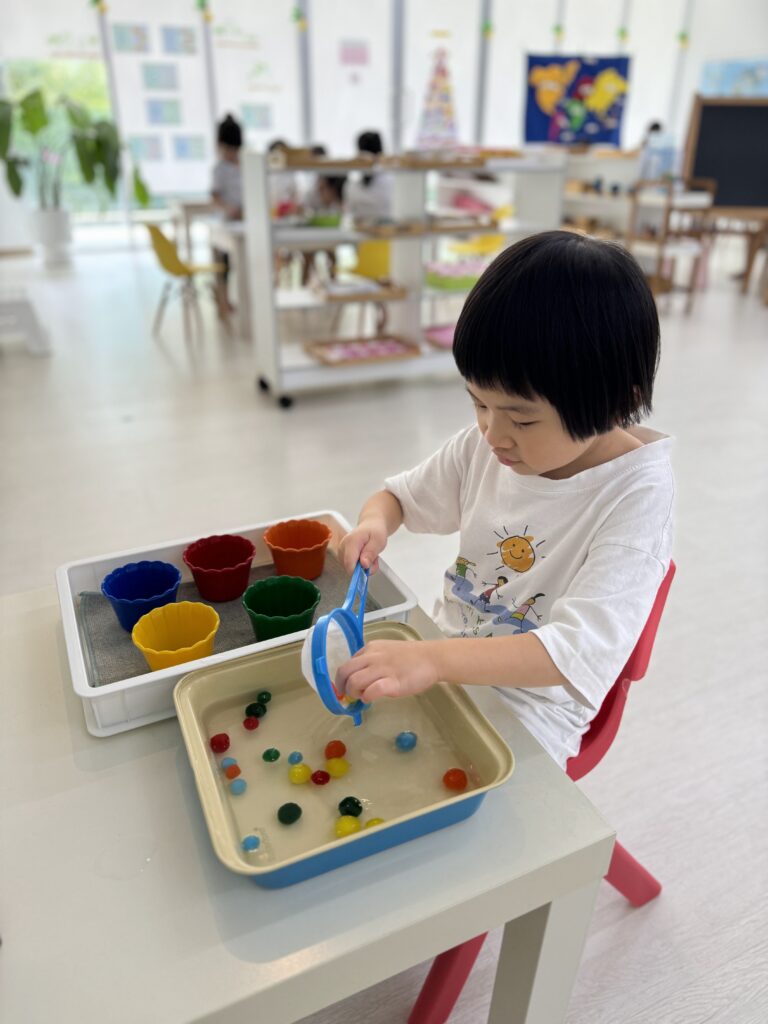 Montessori Kids Academy Transferring Using Sieve
