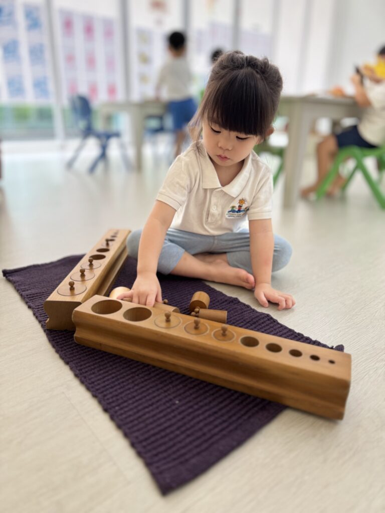 Montessori Kids Academy Combination of Knobbed Cylinders