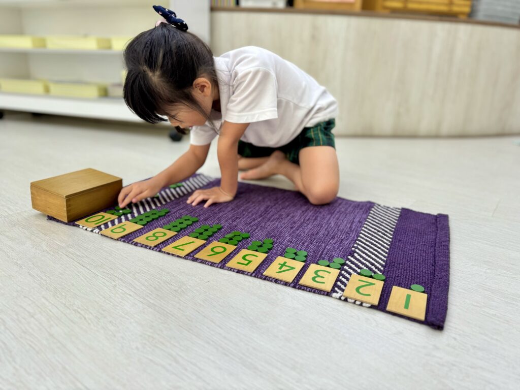 Montessori Kids Academy Card & Counter