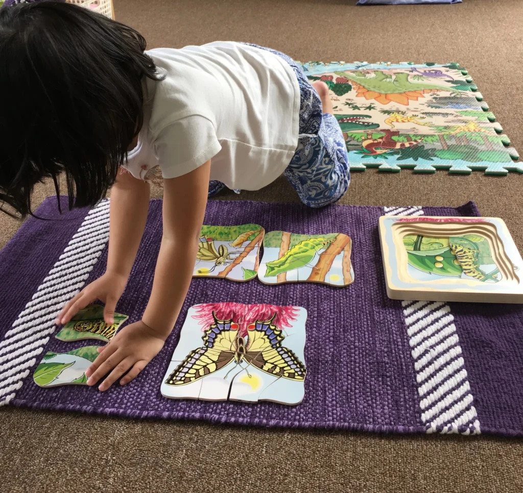 Montessori Kids Academy Life cycle of a butterfly