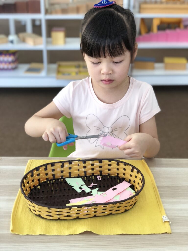 Montessori Kids Academy Cutting Activity
