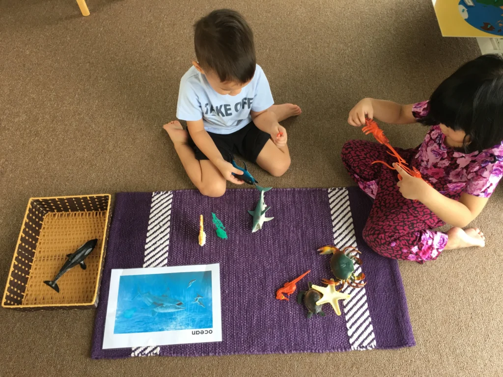 Montessori Kids Academy Zoology