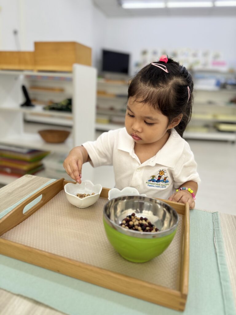 Montessori Kids Academy Sorting Beans Using Fingers