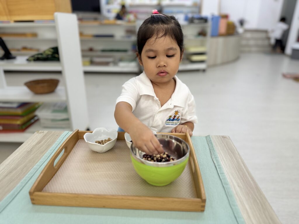 Montessori Kids Academy Sorting Beans Using Fingers