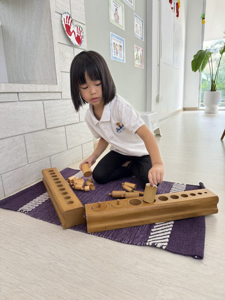 Montessori Kids Academy Combination of Knobbed Cylinders