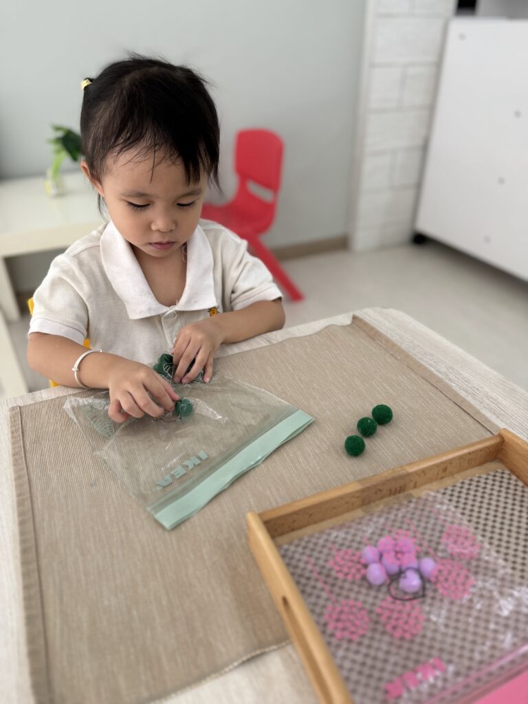 Montessori Kids Academy Pinching Pompom