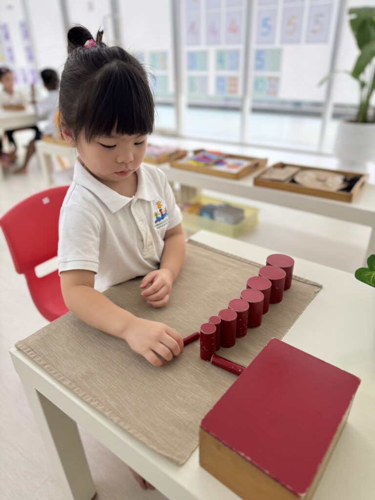 Montessori Kids Academy Knobless Cylinders Red Box