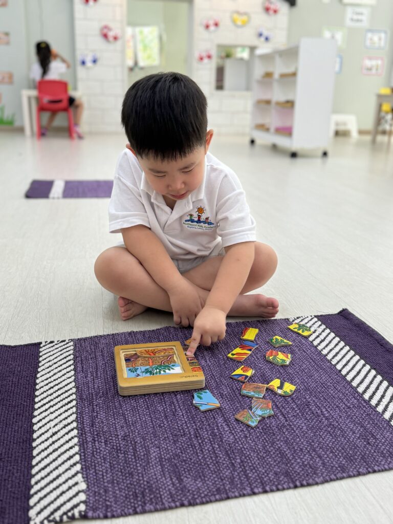 Montessori Kids Academy Botany Puzzle